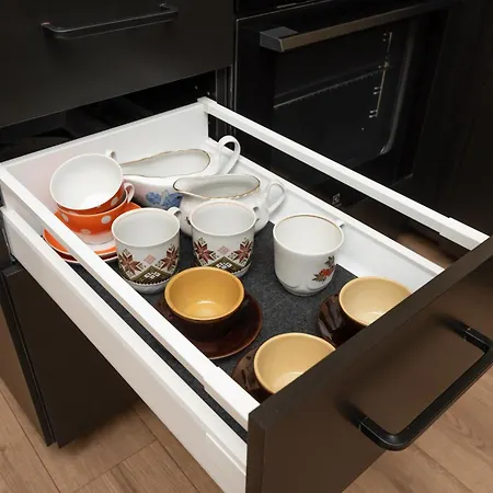 Dark & Moody Mid Century ריגה